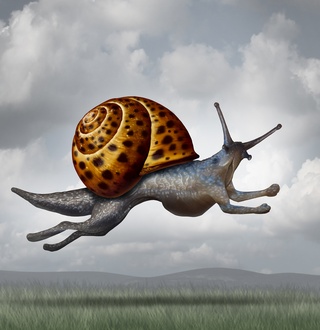 From CSR to the transformation of business models