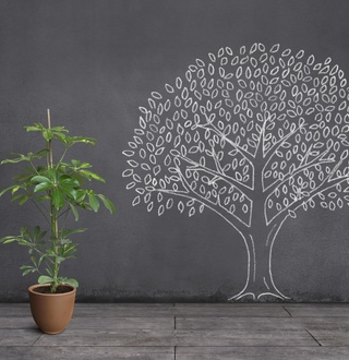 When a vision serves a purpose