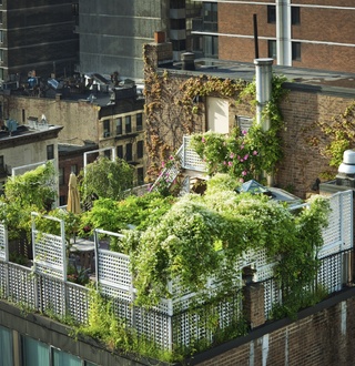 VIDEO: The ‘Green City’, Explained in 3 Minutes