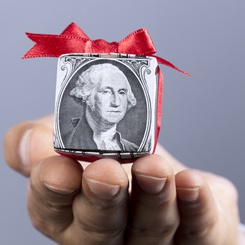 Taking off the wrapper: The Hidden Dynamic of Variable Annuity Funds