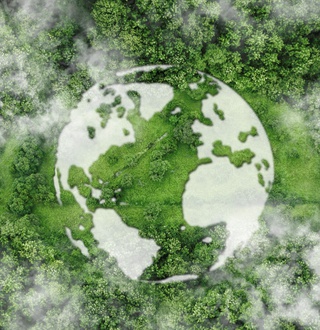 Peut-on brûler toutes les réserves d’énergies fossiles et compenser en plantant des arbres ?