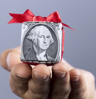 Taking off the wrapper: The Hidden Dynamic of Variable Annuity Funds