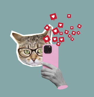 Pawsitive Vibes: The Science Behind Cute Animal Content