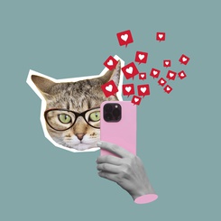 Pawsitive Vibes: The Science Behind Cute Animal Content