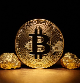 Portfolio Risk Management: Is Bitcoin the New Digital Gold?