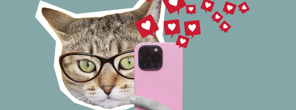 Pawsitive Vibes: The Science Behind Cute Animal Content